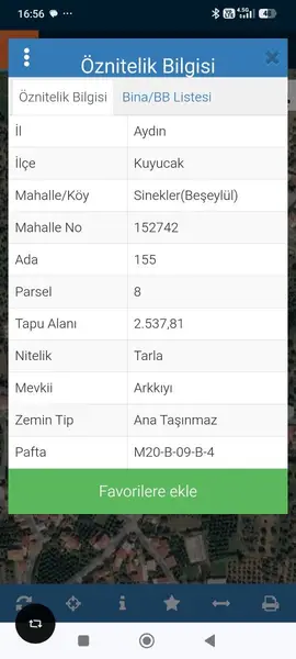 köy yerleşik alanında portakal bahçesi küçük görsel 29