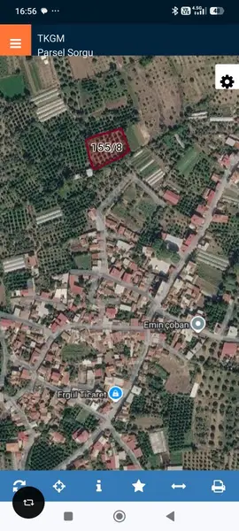 köy yerleşik alanında portakal bahçesi küçük görsel 36