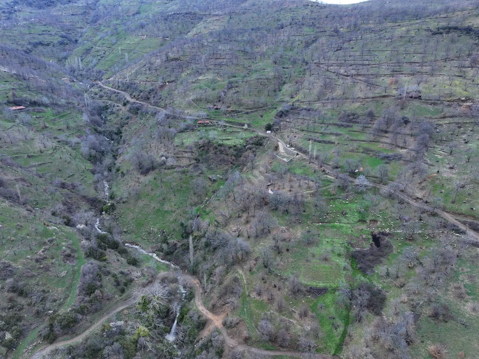 Yaylapınarda Eşsiz Manzaralı Hazır Bahçe