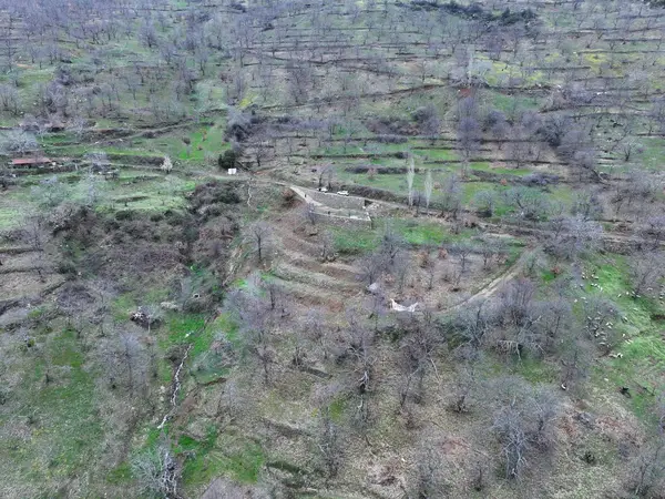 Yaylapınarda Eşsiz Manzaralı Hazır Bahçe küçük görsel 5