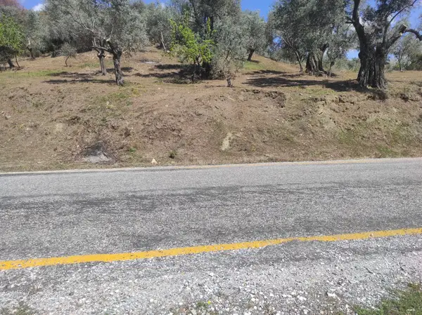 asfalt yola cepheli 1.610m zeytinlik. küçük görsel 9