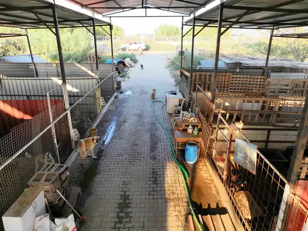 DALLICA'DA SATILIK 7500m2 ÇİFTLİK küçük görsel 2