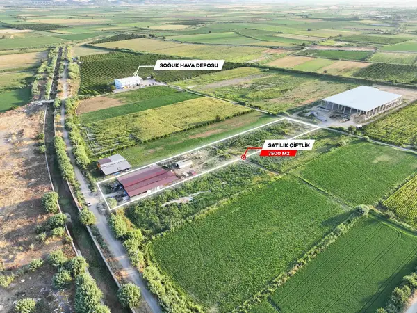 DALLICA'DA SATILIK 7500m2 ÇİFTLİK küçük görsel 3