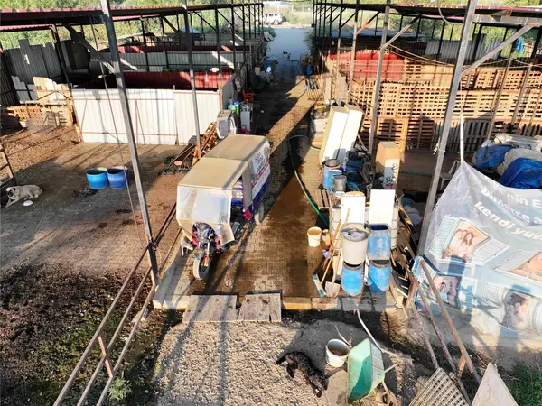 DALLICA'DA SATILIK 7500m2 ÇİFTLİK küçük görsel 4