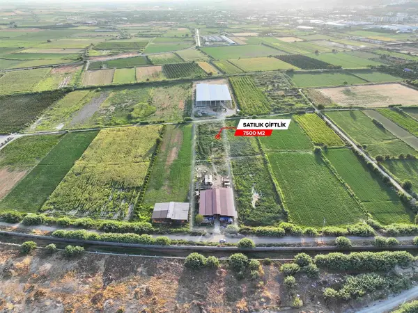 DALLICA'DA SATILIK 7500m2 ÇİFTLİK küçük görsel 5