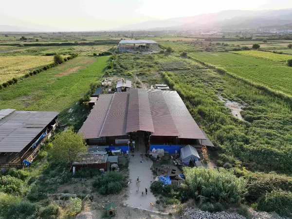 DALLICA'DA SATILIK 7500m2 ÇİFTLİK küçük görsel 7