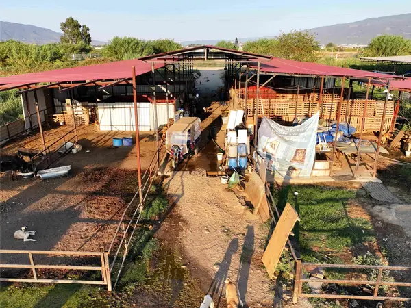 DALLICA'DA SATILIK 7500m2 ÇİFTLİK küçük görsel 8
