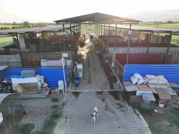 DALLICA'DA SATILIK 7500m2 ÇİFTLİK küçük görsel 9