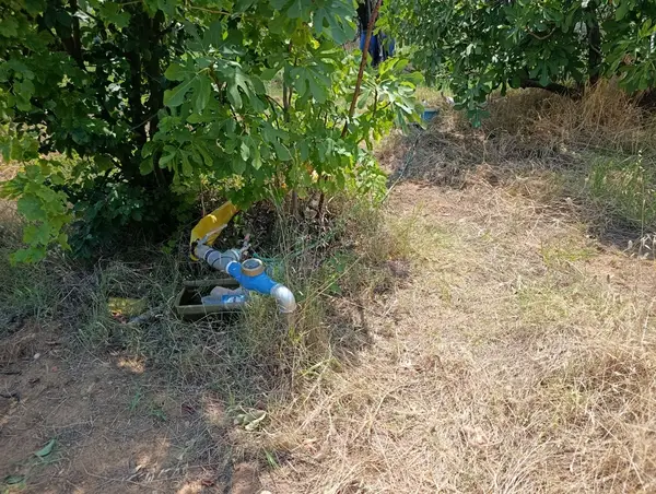 9.300m yerleşim alanı na yakın tamamı düz incir bahçesi küçük görsel 6